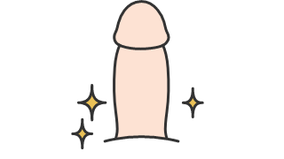 美しい仕上がりのペニスのイラスト