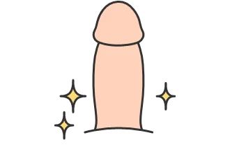 美しい仕上がりのペニスのイラスト